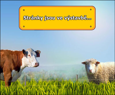 Stránky jsou ve výstavbě